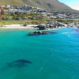 https://roman-rock-apartments.hotels-capetown.com